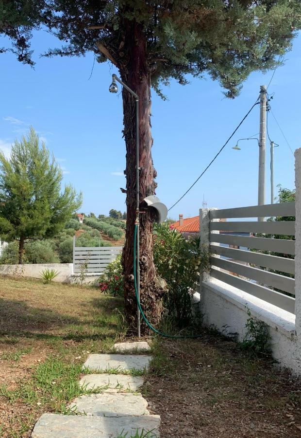 Summer Luxury Villa With Sea View Metamorfosi  Exteriör bild